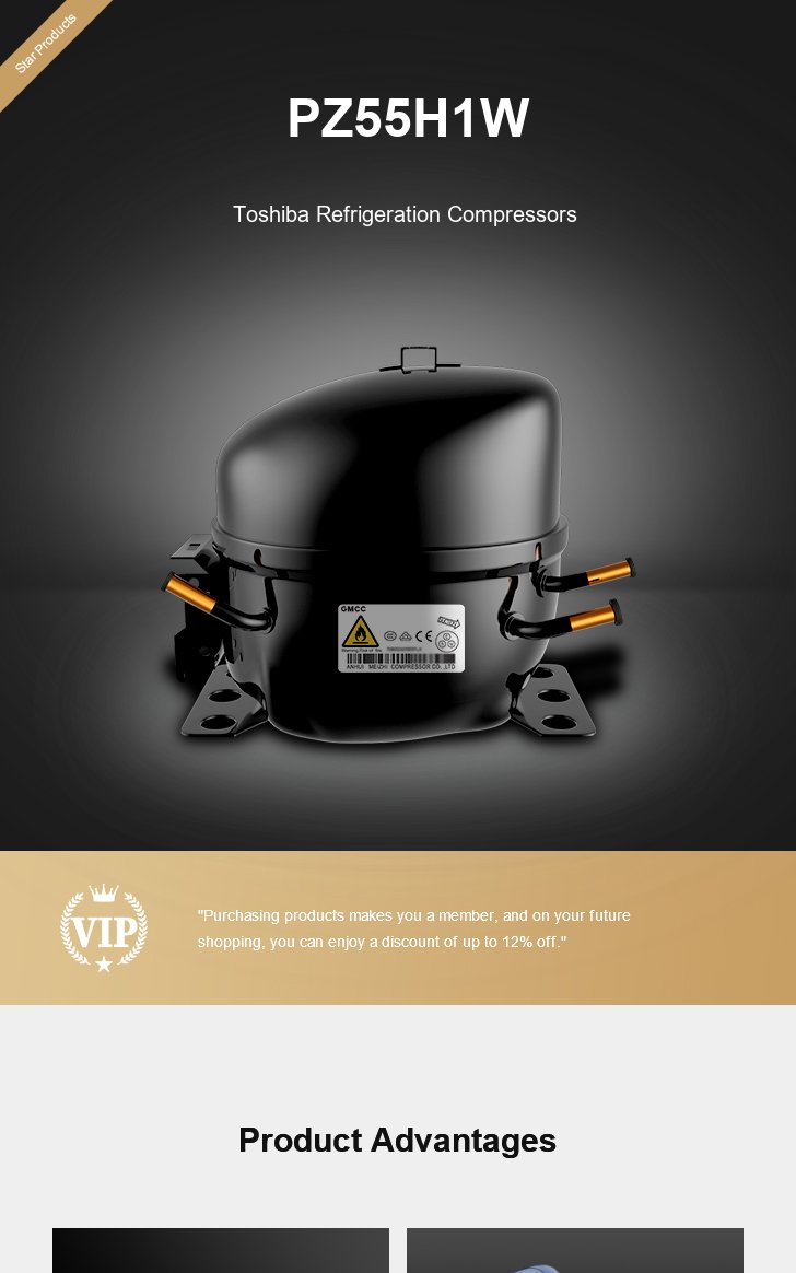 Toshiba Compressor PZ55H1W, technical parameters pdf, structure diagram